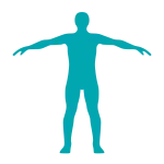 Icono 5